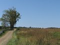 Gettysburg 115